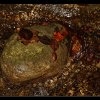 20111211_097